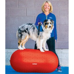 FitPAWS...