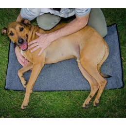 FitPAWS Hundematte K9FITbed...