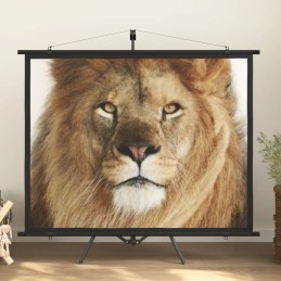 Beamer-Leinwand mit Stativ...