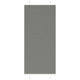 Plissee Anthrazit 100x200...