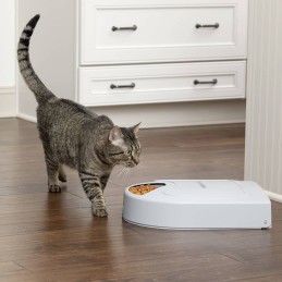 PetSafe Futterautomat für 5...
