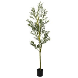 Olivenbaum Künstlich 800...
