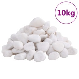 Polierte Kiesel 10 kg Weiß...