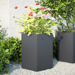 Garten-Pflanzgefäße 2 Stück...