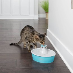 PetSafe...