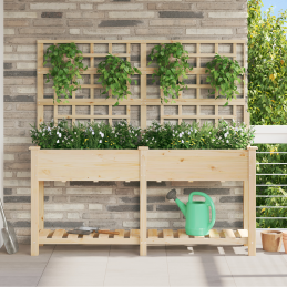 Gartenpflanzer mit Spalier...