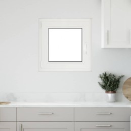 Kellerfenster "RISOR" 50x50...