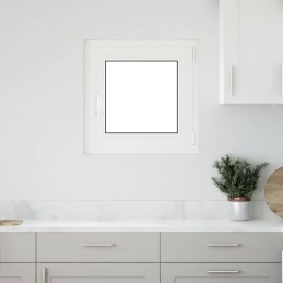 Kellerfenster "RISOR" 50x50...