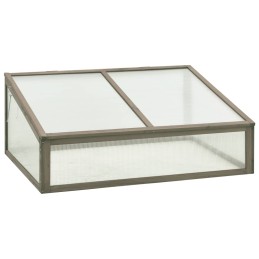 Gewächshaus 100x65x40 cm...