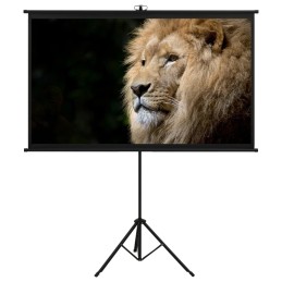 Beamer-Leinwand mit Stativ...